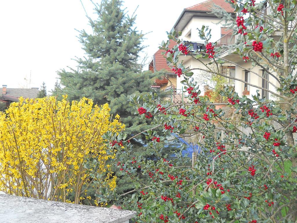 Apartment & Rooms Miboti Samobor Buitenkant foto